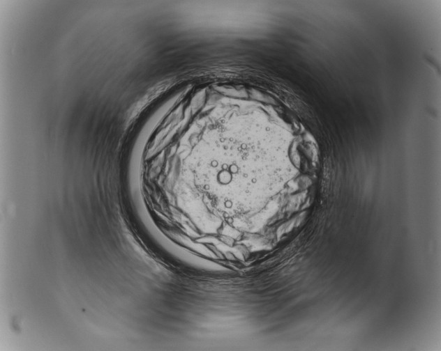 X0000098200734200805221541