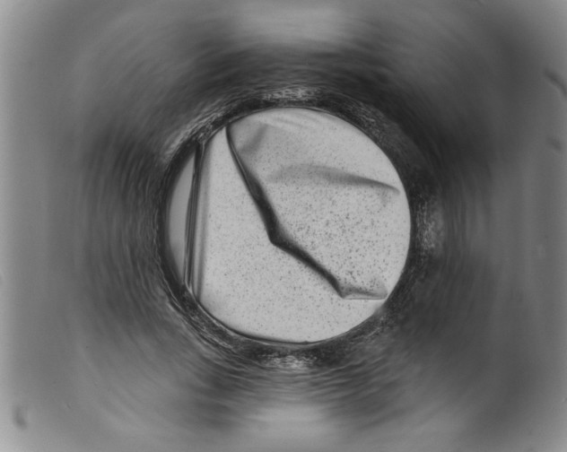 X0000098200735200805221541