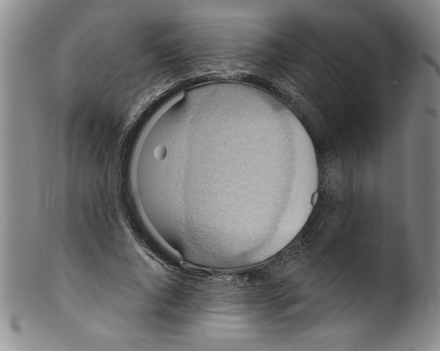 X0000098200736200805221541