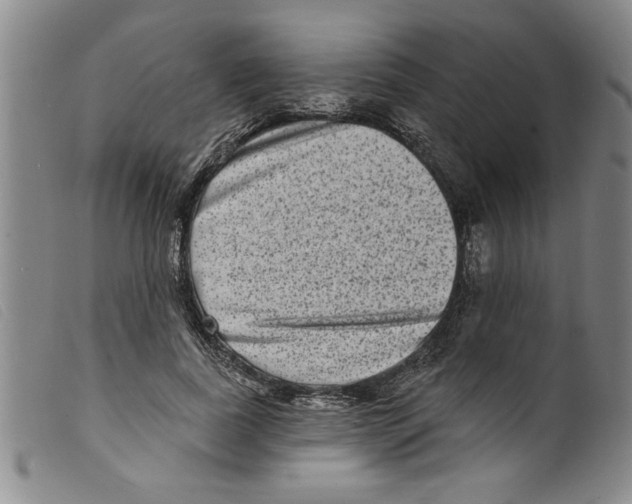 X0000098200739200805221541