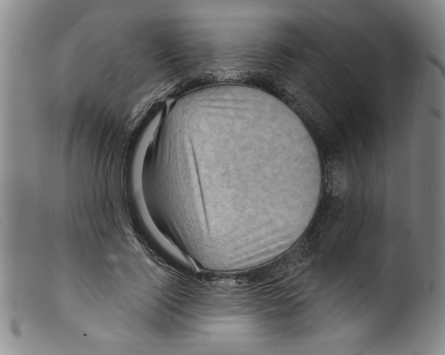 X0000098200740200805221541