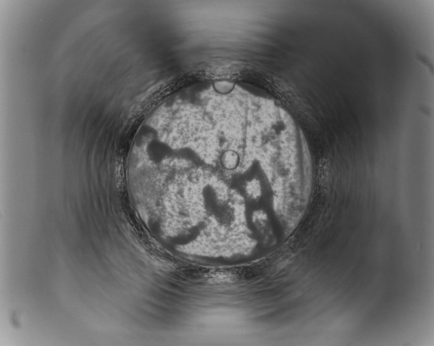 X0000098200741200805221541