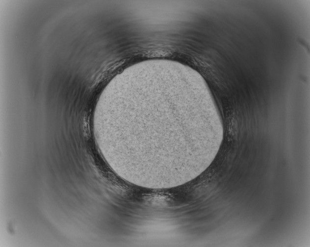 X0000098200743200805221541