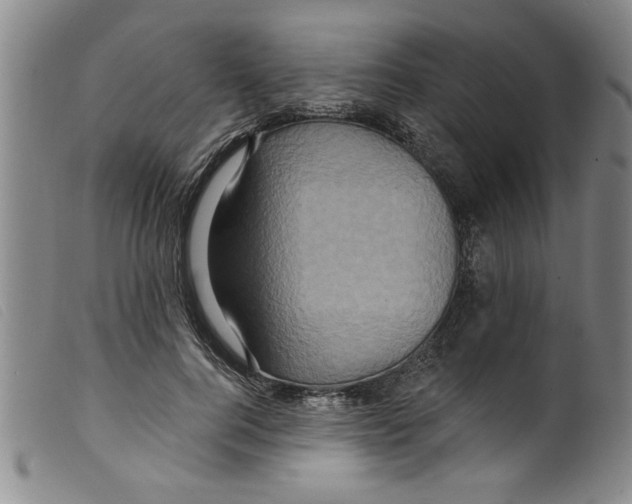 X0000098200744200805221541