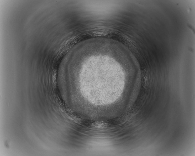 X0000098200745200805221541