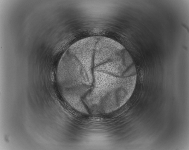 X0000098200746200805221541
