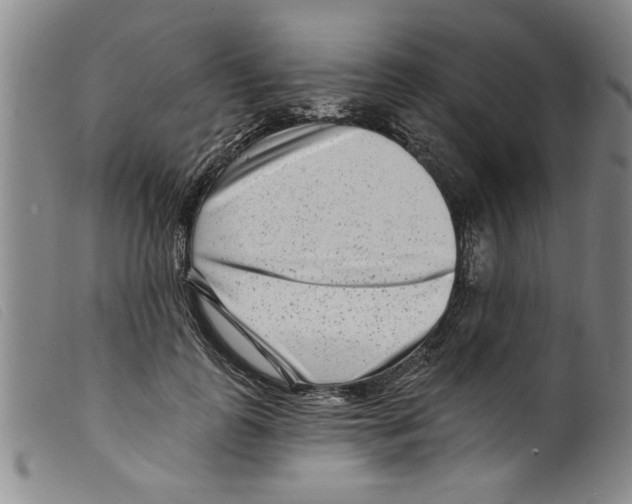 X0000098200747200805221541