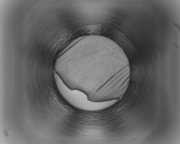 X0000098200748200805221541