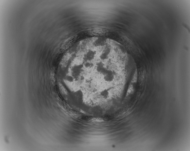 X0000098200749200805221541