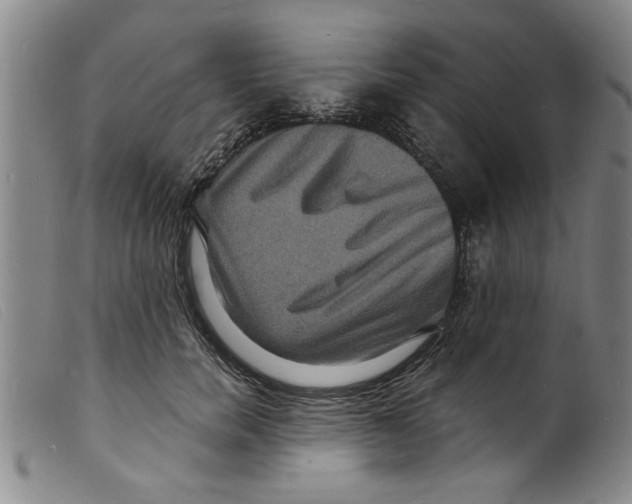 X0000098200750200805221541