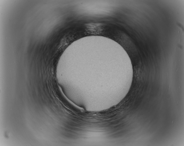 X0000098200752200805221541