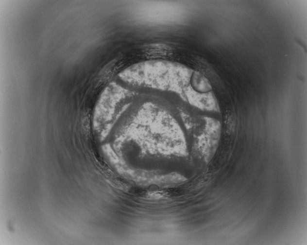 X0000098200753200805221541