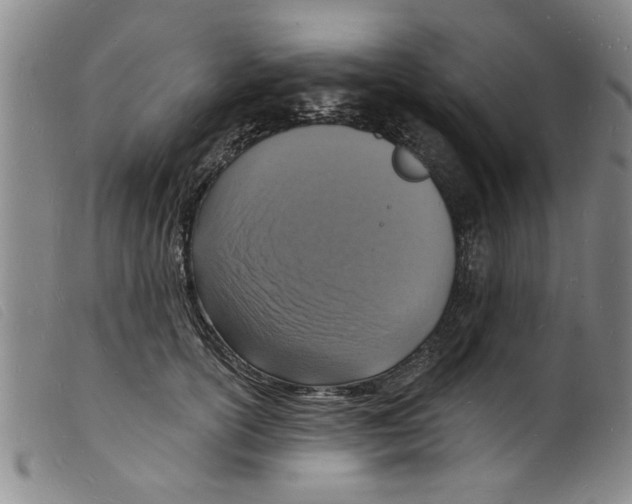 X0000098200754200805221541