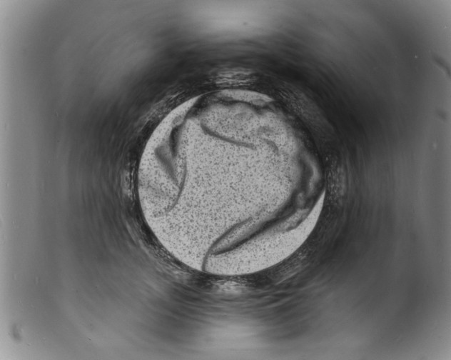 X0000098200755200805221541