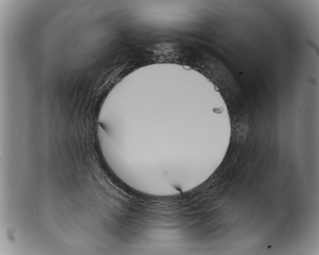 X0000098200756200805221541