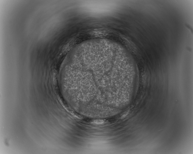 X0000098200757200805221541
