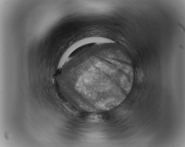 X0000098200760200805221541