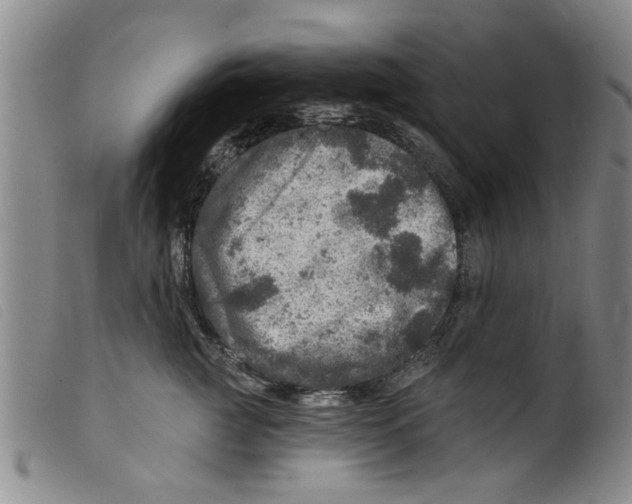 X0000098200761200805221541