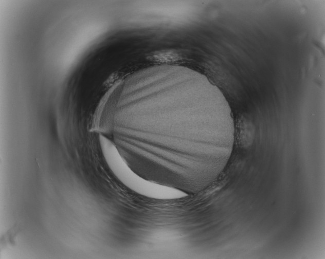 X0000098200762200805221541