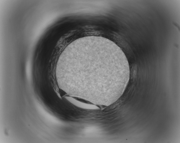 X0000098200764200805221541