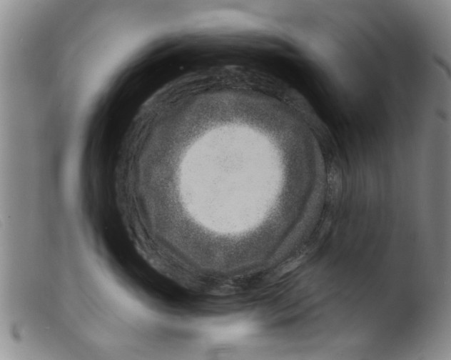 X0000098200765200805221541