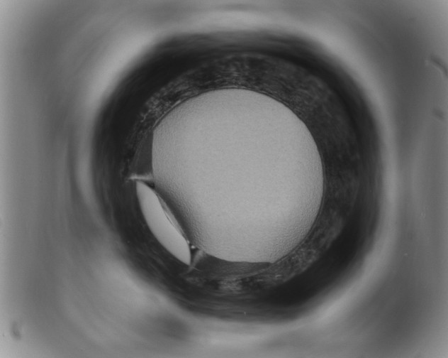 X0000098200766200805221541