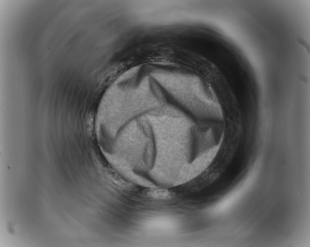 X0000098200767200805221541