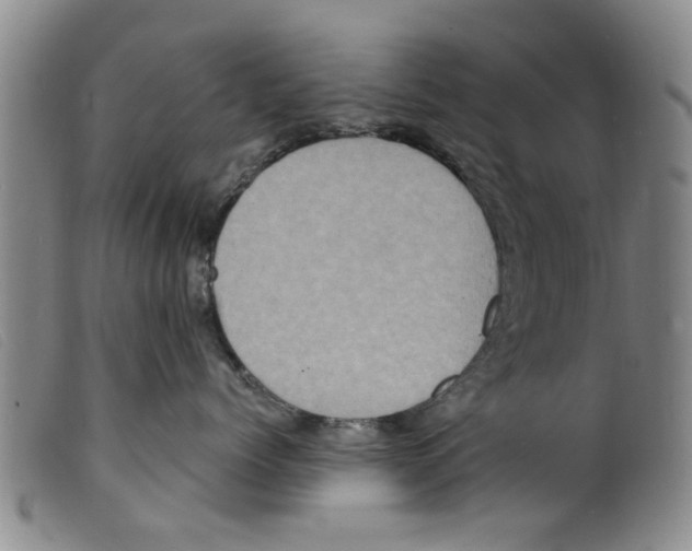 X0000098200768200805221541