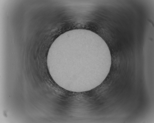 X0000098200769200805221540
