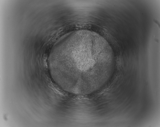 X0000098200770200805221540