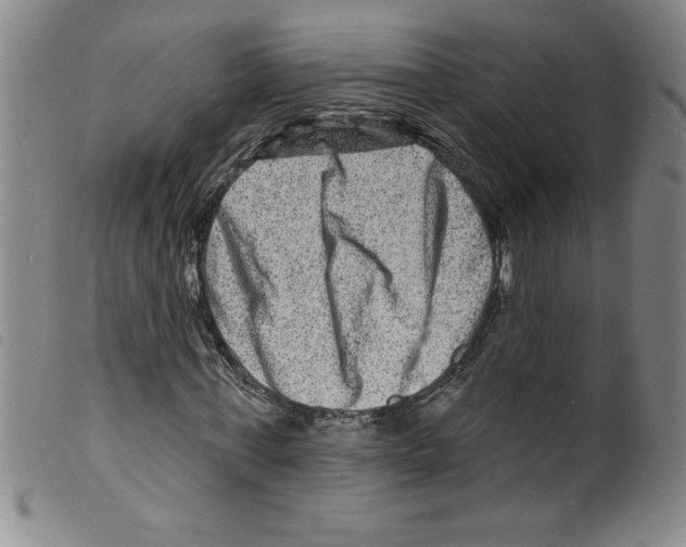 X0000098200771200805221540