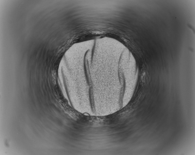 X0000098200772200805221540