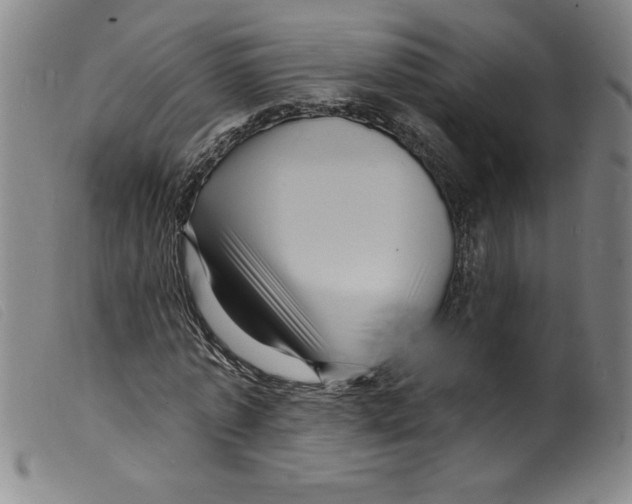 X0000098200773200805221540