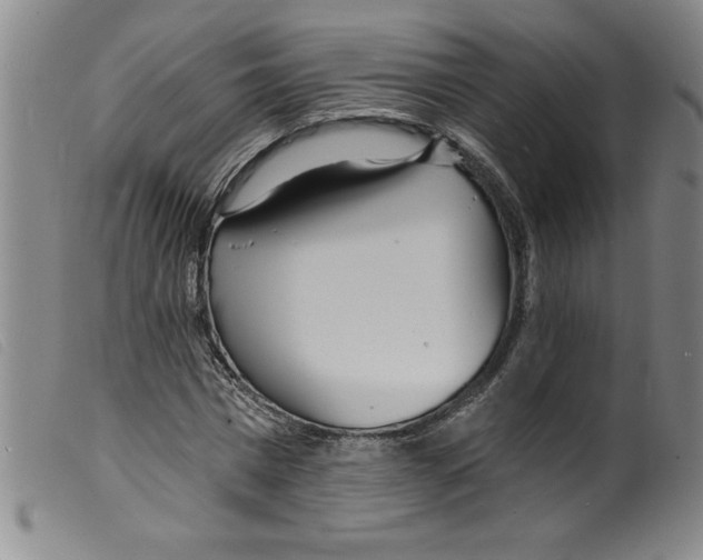 X0000098200777200805221540