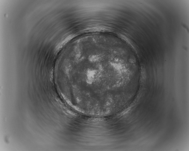 X0000098200778200805221540