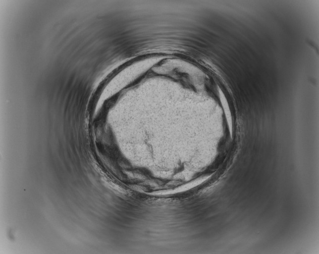 X0000098200779200805221540