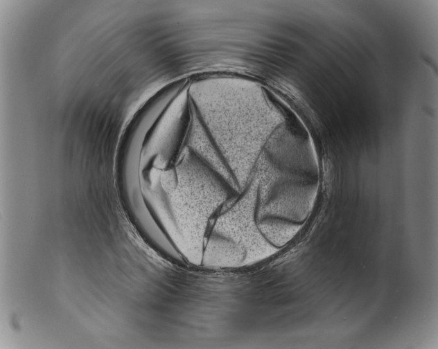 X0000098200780200805221540