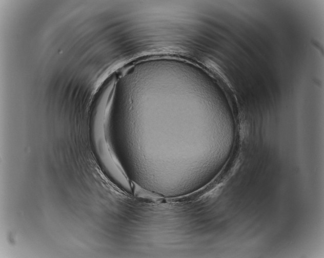 X0000098200781200805221540