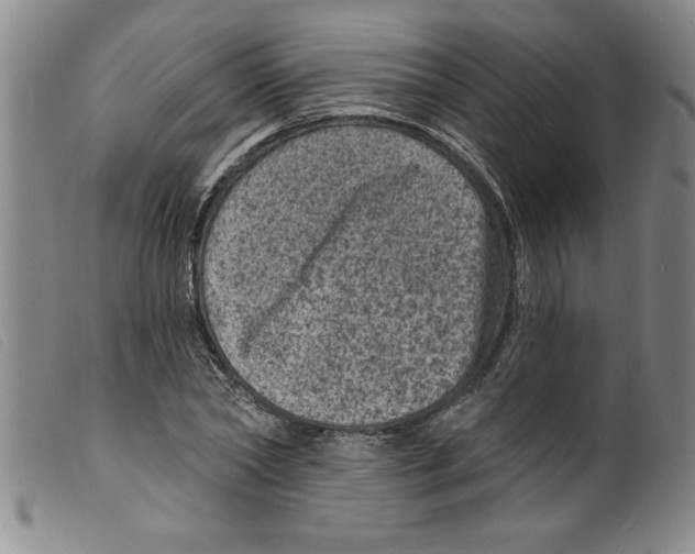 X0000098200782200805221540