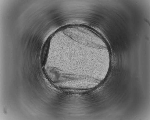 X0000098200783200805221540