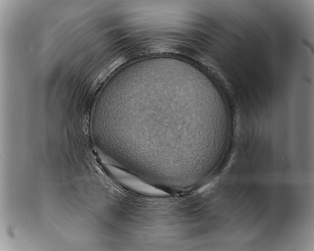X0000098200785200805221540