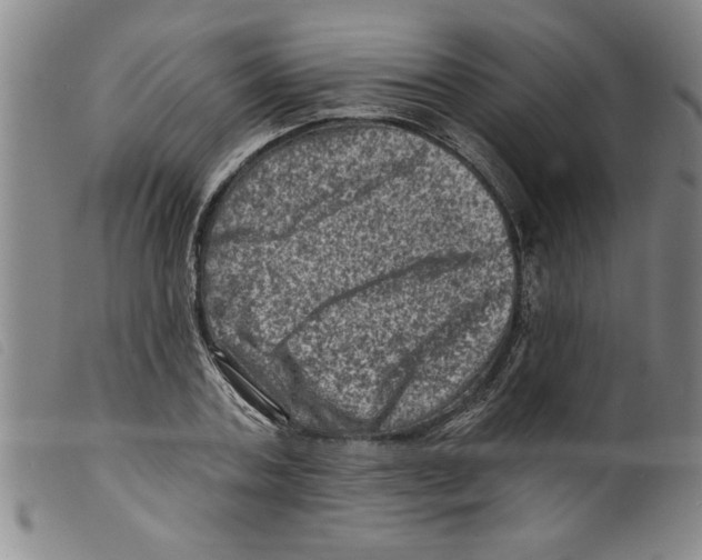 X0000098200787200805221540