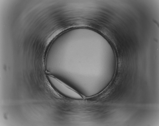 X0000098200789200805221540