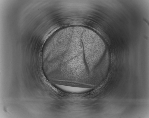X0000098200790200805221540