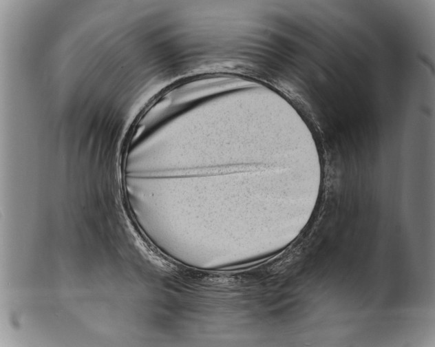 X0000098200792200805221540