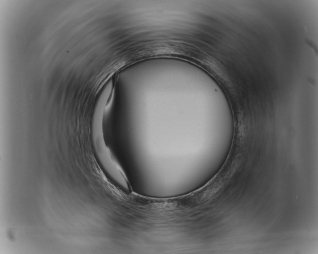 X0000098200793200805221540