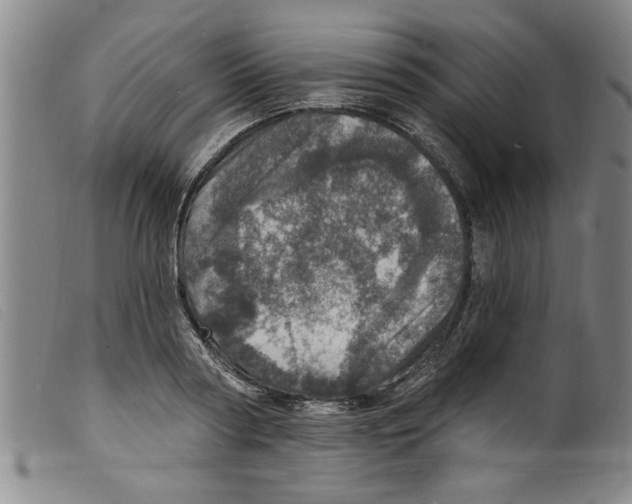 X0000098200794200805221540
