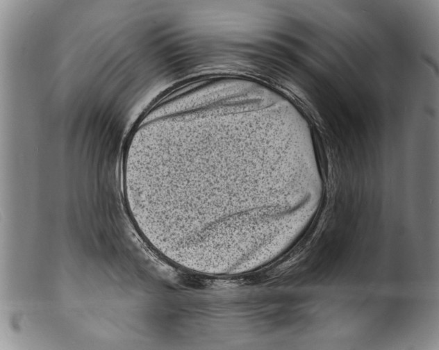 X0000098200796200805221540