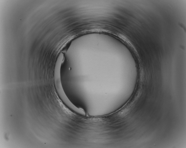 X0000098200801200805221540