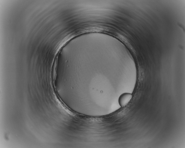 X0000098200802200805221540
